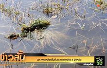 ปภ.เผยเหลือพื้นที่ประสบอุทกภัย 2 จังหวัด