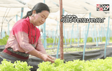 Big HERO คนดีบ้านฉัน : ฐิตินันท์ เจริญอาจ HERO ผู้ส่งเสริมการท่องเที่ยวชุมชน ตอนที่ 4/5