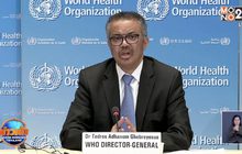 WHO ระงับทดลองใช้ยาต้านมาลาเรียรักษาคนไข้โควิด-19