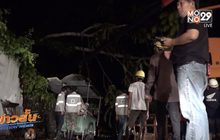 ต้นเหรียงล้มทับเสาไฟ ไฟดับทั้งเมือง จ.ยะลา