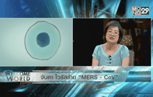 จับตา ไวรัสร้าย “MERS” ตอน 1