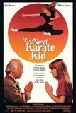 The Next Karate Kid คาราเต้ คิด 4