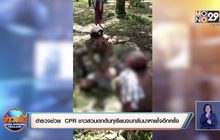 ตำรวจช่วย CPR ชาวสวนตกต้นทุเรียนจนกลับมาหายใจอีกครั้ง