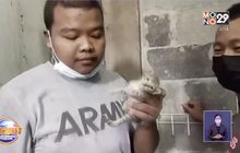 เจ้าของบ้านใจดีให้ทุบกำแพงช่วยลูกแมวติดมา 3 วัน