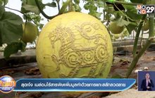 สุดเจ๋ง เมล่อนไร้สารพิษเพิ่มมูลค่าด้วยการแกะสลักลวดลาย