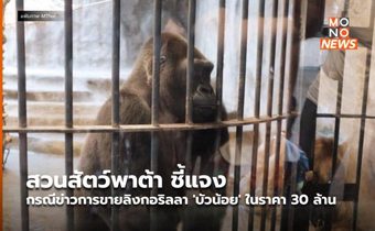 สวนสัตว์พาต้า ชี้แจงกรณีข่าวการขายลิงกอริลลา ‘บัวน้อย’ ในราคา 30 ล้าน