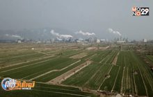 ประชุม COP25 เน้นหารือถึงการใช้พลังงานของจีน