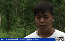 มูลนิธิพุทธะอิสระยอมรับซื้อที่ป่าสงวนฯ
