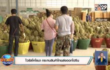 ไวรัสโคโรนา กระทบสินค้าไทยส่งออกไปจีน