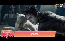 Movie Review : CATS