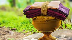 คําขอบวช นาคเดี่ยว