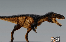 ไดโนเสาร์ T-Rex อาจมีต้นกำเนิดในเอเชีย