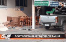 Motion News Break 1 (21-04-59)