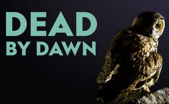 Dead by Dawn มฤตยูในเงามืด