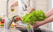 5 วิธีล้างผัก ล้างผลไม้ ให้สะอาดลดการสะสมสารพิษ