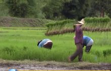 “บิ๊กตู่” ห่วงงบ 63 ล่าช้ากระทบเกษตกร