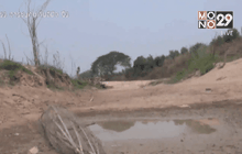 ภัยแล้งกระทบแม่น้ำยม จ.พิษณุโลก