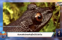 ค้นพบสัตว์สายพันธุ์ใหม่ในโบลิเวีย