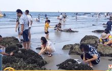 ข่าวเด่นรอบวัน 15-04-62