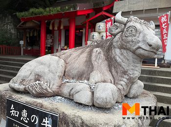 สายมู ญี่ปุ่น ต้องรู้ ! ทริกขอพรรูปปั้นวัว ขอพรสติปัญญา การสอบ และสุขภาพ