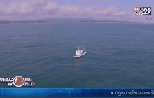 ความกังวลเรื่องกัมมันตรังสีในญี่ปุ่น