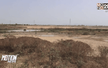 บึงบัวสาธารณะแห้งขอด