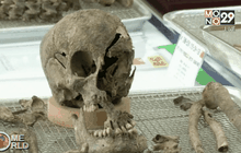 เกาหลีใต้เตรียมส่งกลับชิ้นส่วนศพทหารจีน