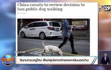 จีนทบทวนกฎใหม่ สั่งฆ่าสุนัขหากเจ้าของพาเดินนอกบ้าน