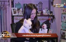 29 Life Smart : เทรนด์มอบของขวัญสุดหรูให้น้องหมา