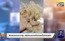 เก็บแมงกะพรุนไปตรวจ หลังพบลวกแล้วกลายเป็นพลาสติก