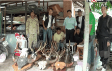 บุกจับลอบเลี้ยงสัตว์ป่าคุ้มครอง จ.อ่างทอง