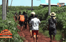 จัดชุดลาดตระเวนตามตัวหมีป่าทำร้ายชาวบุรีรัมย์