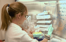 เพาะเลี้ยงเซลล์สมองช่วยทดสอบการรักษาโรค