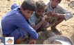 เด็ก 85,000 เสียชีวิตจากการขาดอาหารในเยเมน