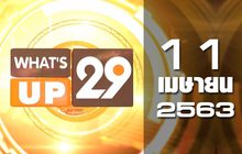 What’s up 29 11-04-63