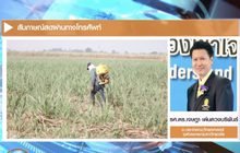 “อ.เจษฎา”  แนะศึกษาก่อนแบน 3 สารพิษ