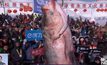 ขาย “ปลายักษ์” 4.4 ล้านบาทจากเทศกาลจับปลาในจีน