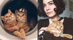 เมื่อสาวรัสเซีย นำ แมวแฝด มาเลี้ยงที่บ้าน ความรักน่ารักจึงบังเกิด