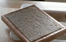 สวนสัตว์ในเช็กผลิตกระดาษจากมูลช้าง