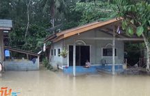น้ำป่าไหลหลากท่วมบ้านเรือน จ.พัทลุง