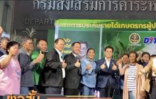 เริ่มจ่ายประกันรายได้ข้าวโพดวันนี้