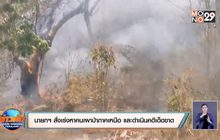 นายกฯ สั่งเร่งหาคนเผาป่าภาคเหนือ และดำเนินคดีเด็ดขาด