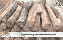 เตรียมนำไม้พะยูงของกลางสร้างพิพิธภัณฑ์