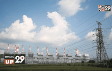 What’s up 29 25-02-59