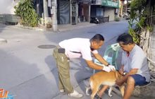 ประกาศหัวหินเป็นเขตโรคระบาดพิษสุนัขบ้า
