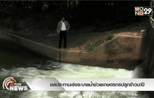 ชลประทานเร่งระบายน้ำช่วยเกษตรกรปลูกข้าวนาปี