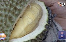 ตะลึง ทุเรียนลูกละ 1 แสน พันธุ์ “กบชายน้ำ”