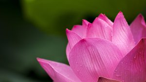 ปฏิทินวันพระ 2561 เดือนมกราคม