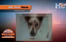 ชาวเน็ตจี้นำมือฟันเจ้าตูบมาลงโทษ