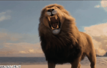 “อภินิหารตำนานแห่งนาร์เนีย” เตรียมยกเครื่องใหม่เอี่ยมไม่เหลือเค้าเดิม